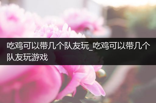 吃鸡可以带几个队友玩_吃鸡可以带几个队友玩游戏