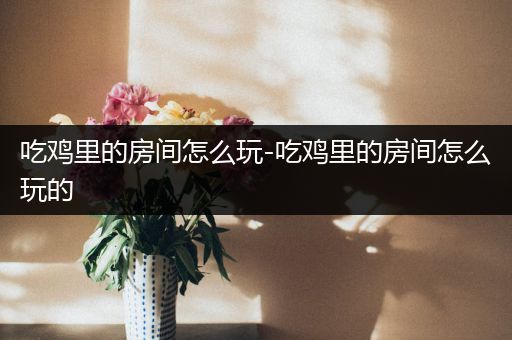 吃鸡里的房间怎么玩-吃鸡里的房间怎么玩的