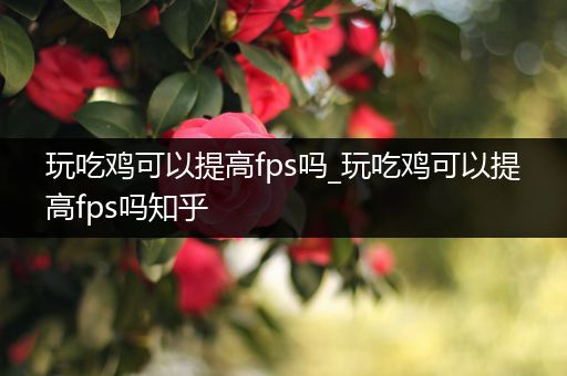 玩吃鸡可以提高fps吗_玩吃鸡可以提高fps吗知乎