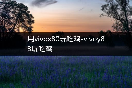 用vivox80玩吃鸡-vivoy83玩吃鸡