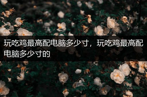 玩吃鸡最高配电脑多少寸，玩吃鸡最高配电脑多少寸的