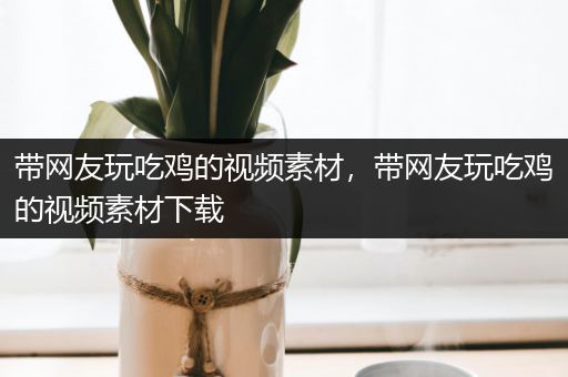 带网友玩吃鸡的视频素材，带网友玩吃鸡的视频素材下载