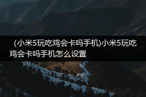 （小米5玩吃鸡会卡吗手机)小米5玩吃鸡会卡吗手机怎么设置