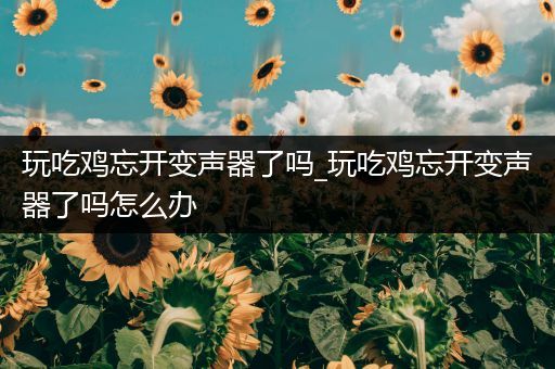 玩吃鸡忘开变声器了吗_玩吃鸡忘开变声器了吗怎么办