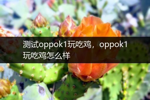 测试oppok1玩吃鸡，oppok1玩吃鸡怎么样