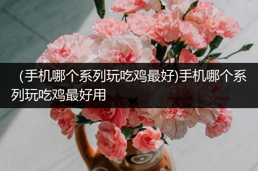 （手机哪个系列玩吃鸡最好)手机哪个系列玩吃鸡最好用