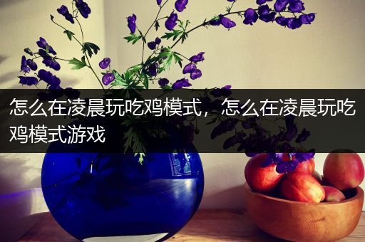 怎么在凌晨玩吃鸡模式，怎么在凌晨玩吃鸡模式游戏