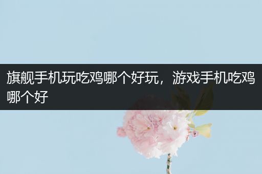 旗舰手机玩吃鸡哪个好玩，游戏手机吃鸡哪个好