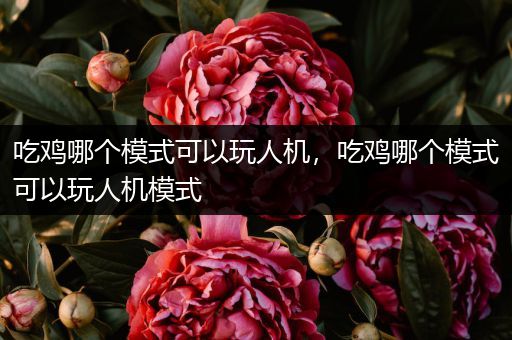 吃鸡哪个模式可以玩人机，吃鸡哪个模式可以玩人机模式
