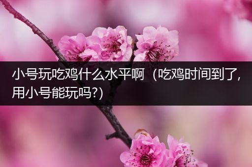 小号玩吃鸡什么水平啊（吃鸡时间到了,用小号能玩吗?）