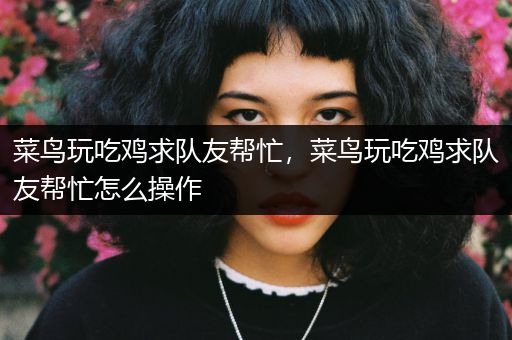 菜鸟玩吃鸡求队友帮忙，菜鸟玩吃鸡求队友帮忙怎么操作