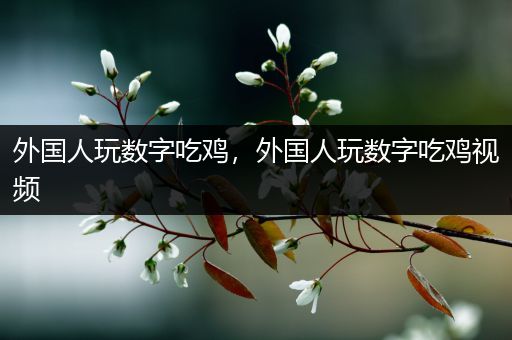 外国人玩数字吃鸡，外国人玩数字吃鸡视频