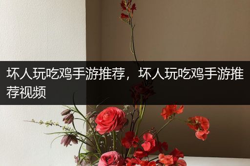 坏人玩吃鸡手游推荐，坏人玩吃鸡手游推荐视频