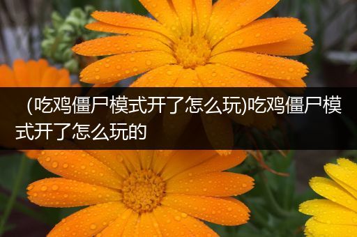 （吃鸡僵尸模式开了怎么玩)吃鸡僵尸模式开了怎么玩的