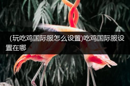（玩吃鸡国际服怎么设置)吃鸡国际服设置在哪
