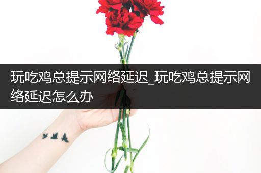 玩吃鸡总提示网络延迟_玩吃鸡总提示网络延迟怎么办