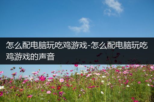 怎么配电脑玩吃鸡游戏-怎么配电脑玩吃鸡游戏的声音
