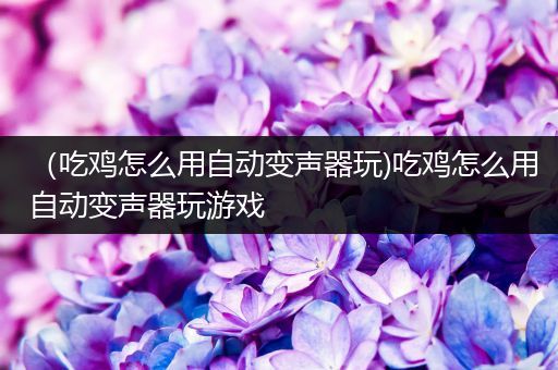（吃鸡怎么用自动变声器玩)吃鸡怎么用自动变声器玩游戏