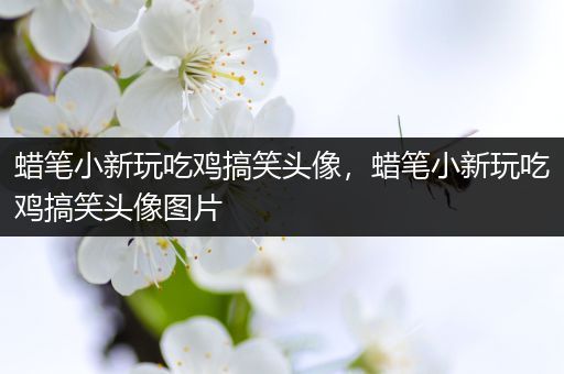 蜡笔小新玩吃鸡搞笑头像，蜡笔小新玩吃鸡搞笑头像图片