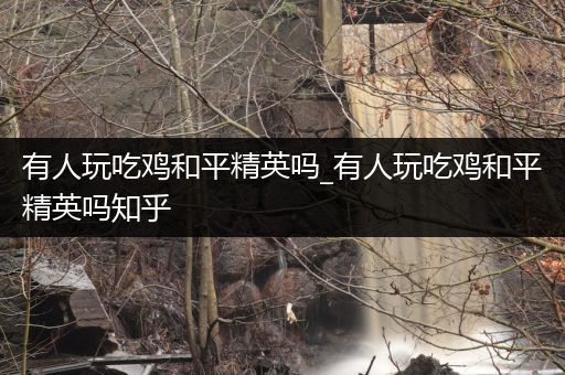 有人玩吃鸡和平精英吗_有人玩吃鸡和平精英吗知乎