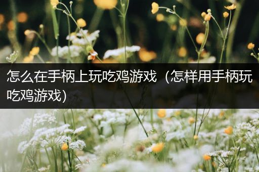 怎么在手柄上玩吃鸡游戏（怎样用手柄玩吃鸡游戏）