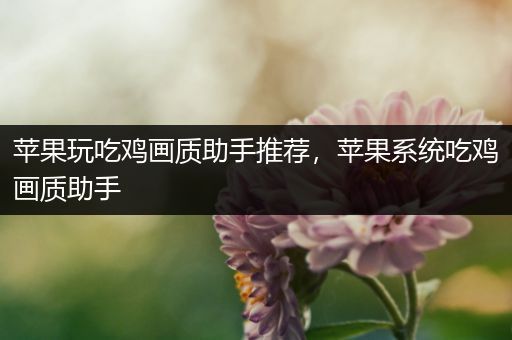 苹果玩吃鸡画质助手推荐，苹果系统吃鸡画质助手