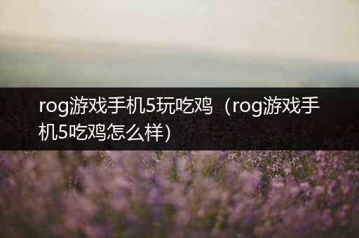 rog游戏手机5玩吃鸡（rog游戏手机5吃鸡怎么样）