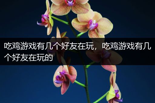 吃鸡游戏有几个好友在玩，吃鸡游戏有几个好友在玩的