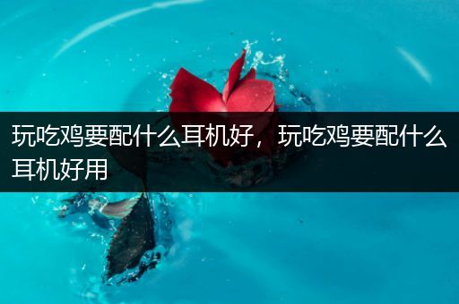 玩吃鸡要配什么耳机好，玩吃鸡要配什么耳机好用