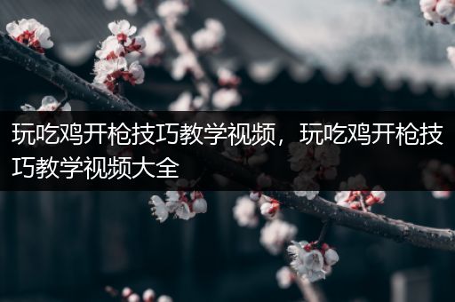 玩吃鸡开枪技巧教学视频，玩吃鸡开枪技巧教学视频大全