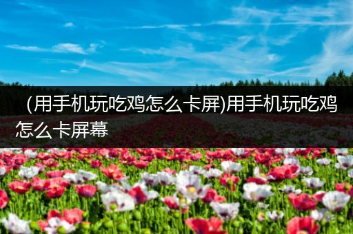 （用手机玩吃鸡怎么卡屏)用手机玩吃鸡怎么卡屏幕