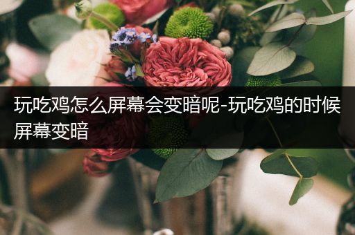 玩吃鸡怎么屏幕会变暗呢-玩吃鸡的时候屏幕变暗