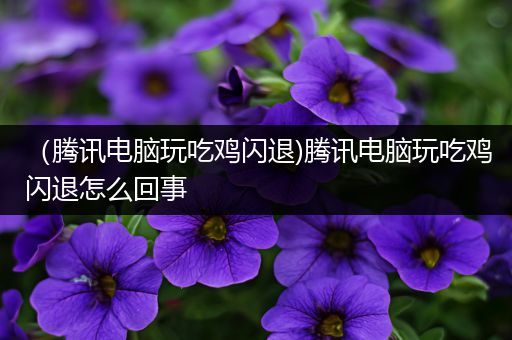 （腾讯电脑玩吃鸡闪退)腾讯电脑玩吃鸡闪退怎么回事