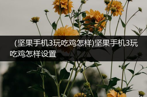 （坚果手机3玩吃鸡怎样)坚果手机3玩吃鸡怎样设置