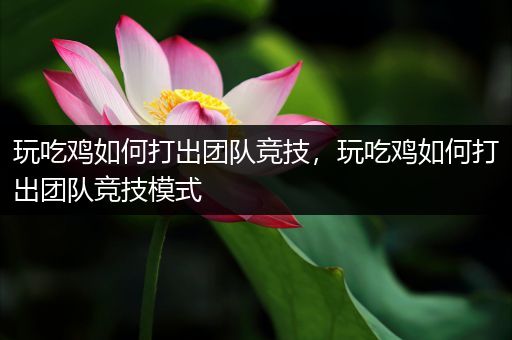 玩吃鸡如何打出团队竞技，玩吃鸡如何打出团队竞技模式