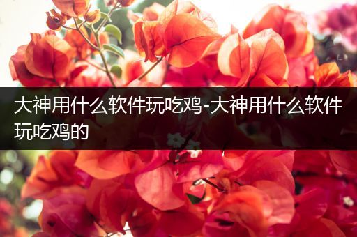 大神用什么软件玩吃鸡-大神用什么软件玩吃鸡的