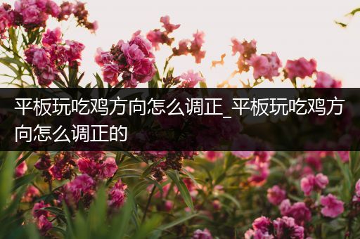 平板玩吃鸡方向怎么调正_平板玩吃鸡方向怎么调正的