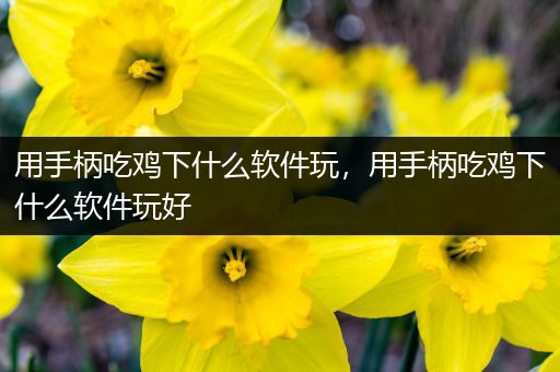 用手柄吃鸡下什么软件玩，用手柄吃鸡下什么软件玩好