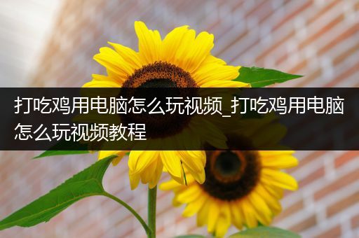 打吃鸡用电脑怎么玩视频_打吃鸡用电脑怎么玩视频教程