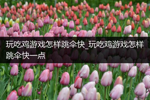 玩吃鸡游戏怎样跳伞快_玩吃鸡游戏怎样跳伞快一点
