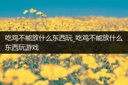 吃鸡不能放什么东西玩_吃鸡不能放什么东西玩游戏