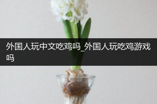 外国人玩中文吃鸡吗_外国人玩吃鸡游戏吗