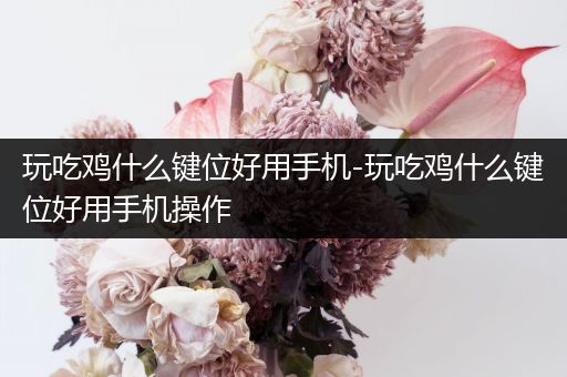 玩吃鸡什么键位好用手机-玩吃鸡什么键位好用手机操作