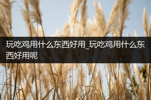 玩吃鸡用什么东西好用_玩吃鸡用什么东西好用呢