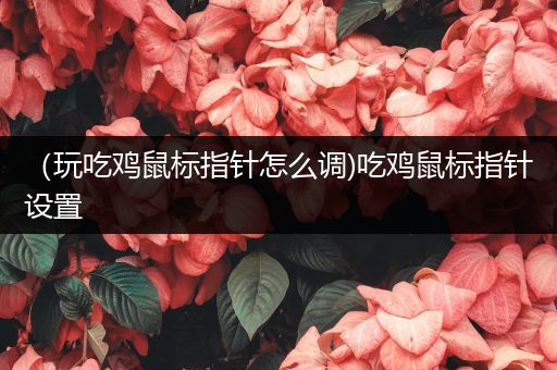 （玩吃鸡鼠标指针怎么调)吃鸡鼠标指针设置