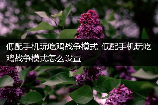 低配手机玩吃鸡战争模式-低配手机玩吃鸡战争模式怎么设置