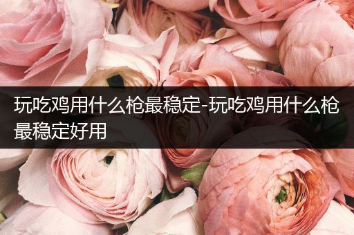 玩吃鸡用什么枪最稳定-玩吃鸡用什么枪最稳定好用