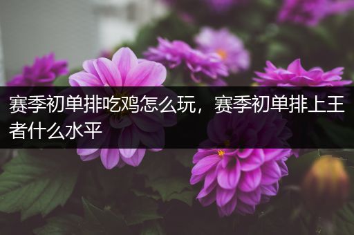 赛季初单排吃鸡怎么玩，赛季初单排上王者什么水平