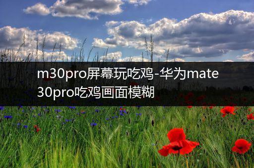 m30pro屏幕玩吃鸡-华为mate30pro吃鸡画面模糊