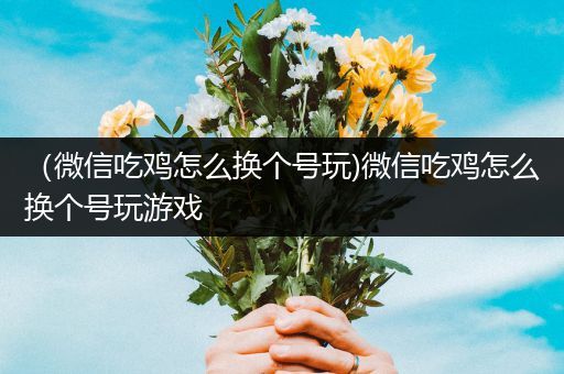 （微信吃鸡怎么换个号玩)微信吃鸡怎么换个号玩游戏